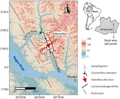 River Reorganization Affects Populations of Dwarf Cichlid Species (Apistogramma Genus) in the Lower Negro River, Brazil